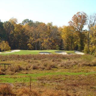 Island 6