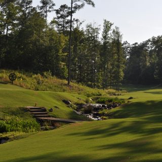Bluff 6