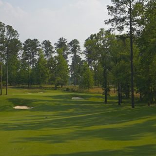 Bluff 7